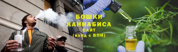 сатива Сатка