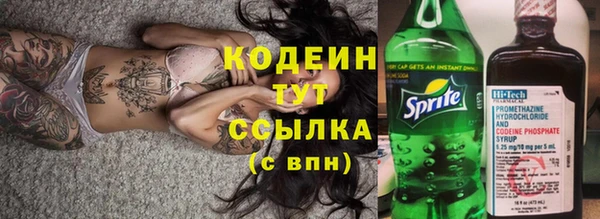 сатива Сатка