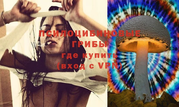 ГАЛЛЮЦИНОГЕННЫЕ ГРИБЫ Абдулино