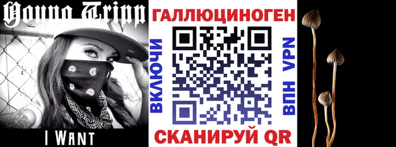 Галлюциногенные грибы Cubensis Богданович