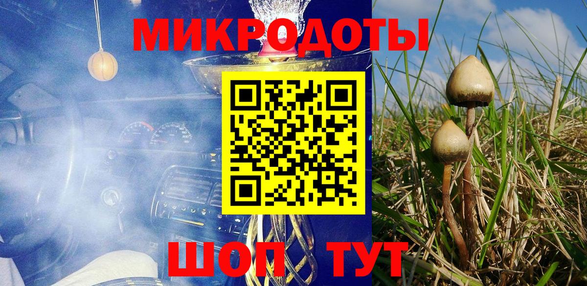 Богданович  Галлюциногенные грибы мицелий  Вход с VPN 